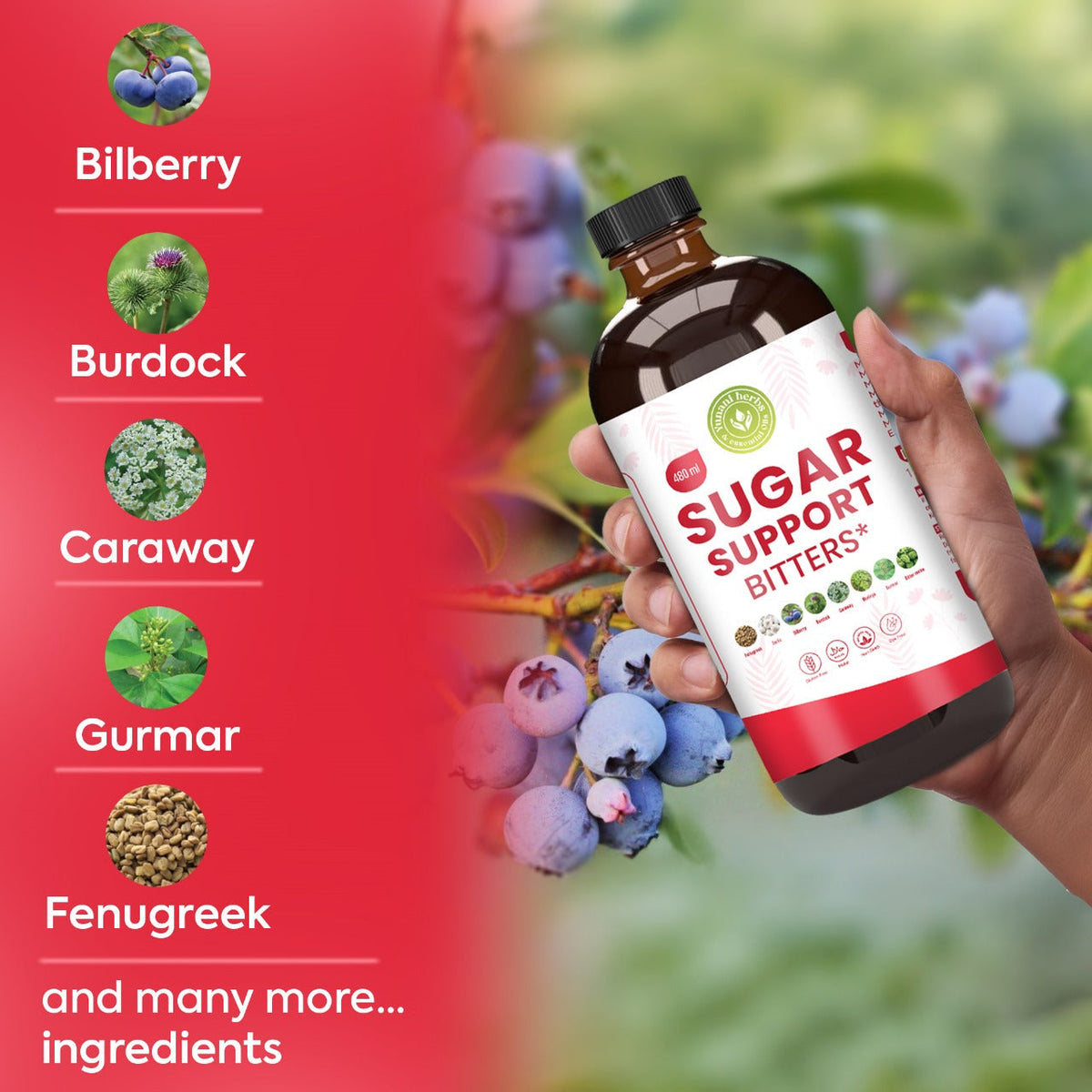 Yunani Herbs - Sugar Support Bitters for diabetes Yunani Herbs