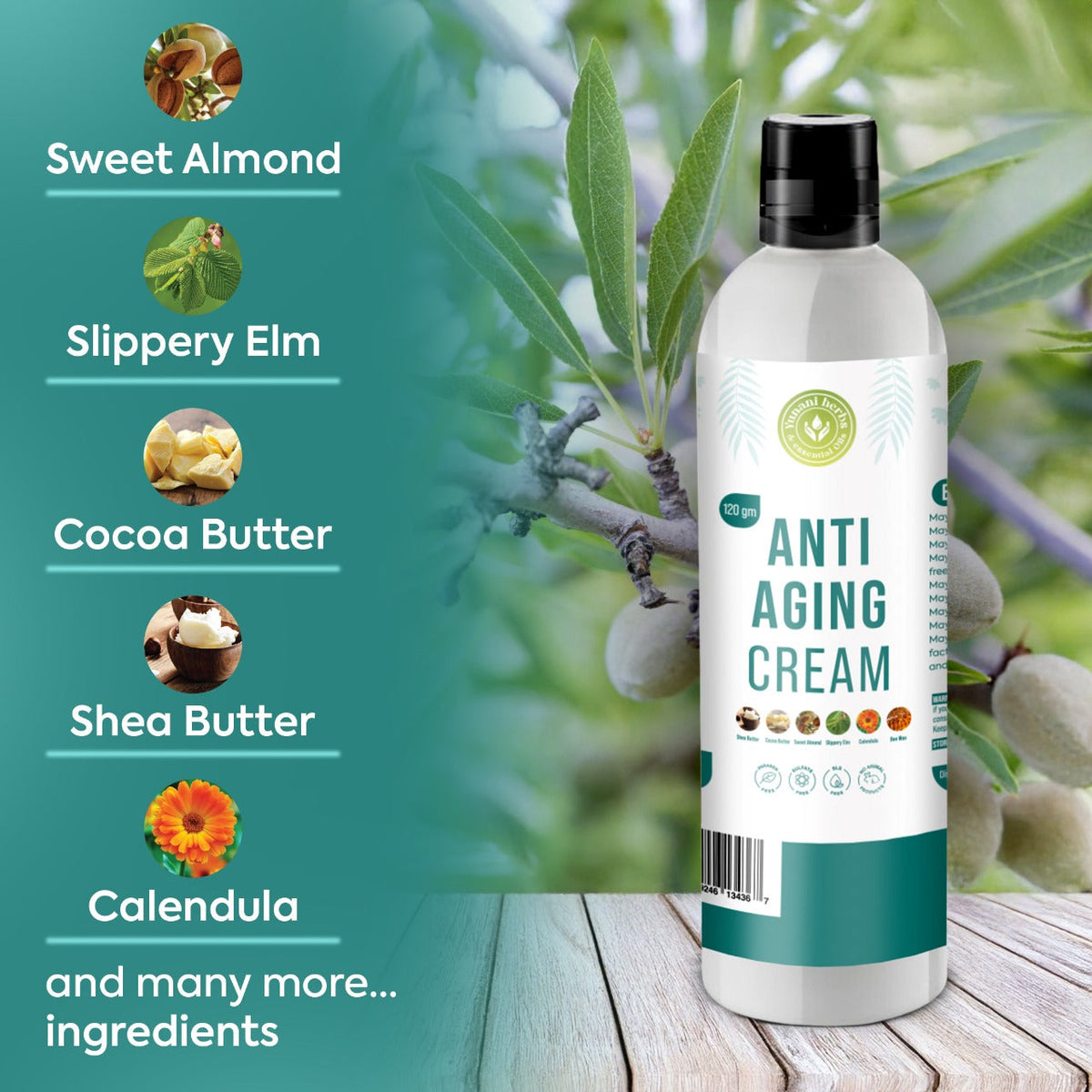 Yunani Herbs - Anti-Aging Cream Yunani Herbs
