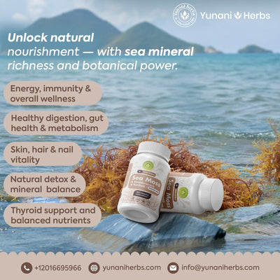 Body Detox