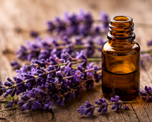 Lavender Oil