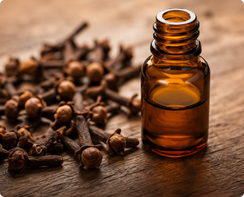 Clove Oil