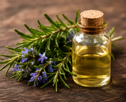 Rosemary Oil